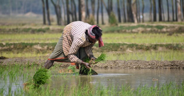 PM-KISAN Gets Five-Year Extension with INR 3.15 Lakh Crore Boost for Farmers